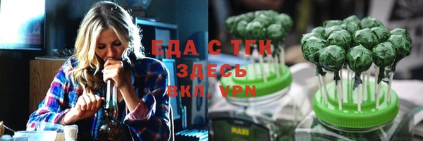 индика Коряжма