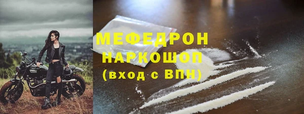 индика Коряжма