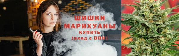 сатива Корсаков