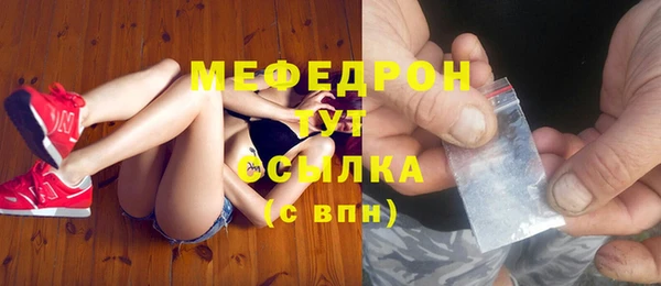 сатива Корсаков