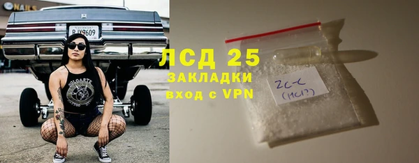 сатива Корсаков