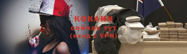 mdpv Костерёво