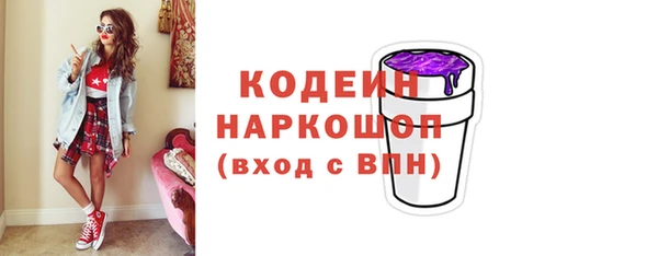 сатива Корсаков