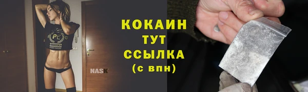 индика Коряжма