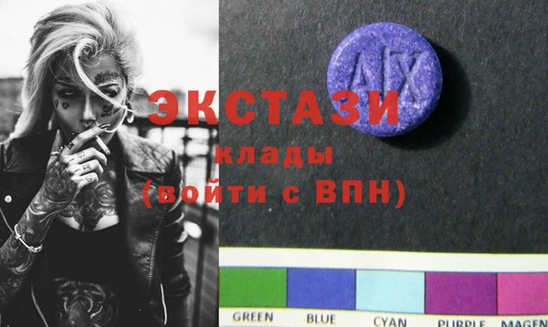 индика Коряжма