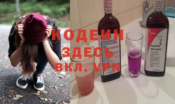 сатива Корсаков