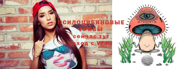 сатива Корсаков