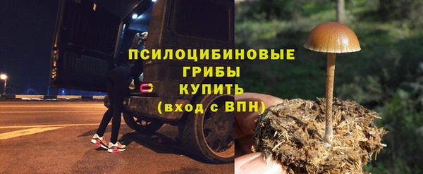 индика Коряжма