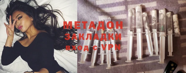 сатива Корсаков