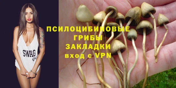 индика Коряжма