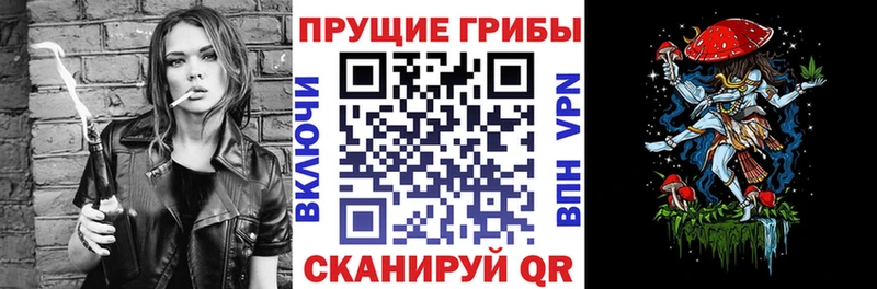Галлюциногенные грибы GOLDEN TEACHER  Купить где  Покачи 